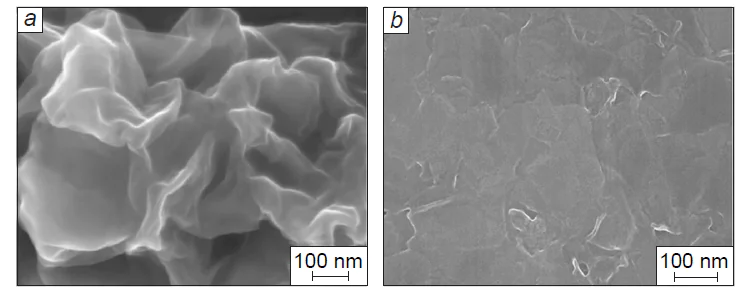 SEM images of ERGO samples obtained by electrodeposition (a) and coating-reducing method (b).207 Copyright Elsevier.