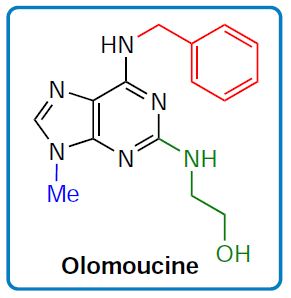 Structure of olomoucine.