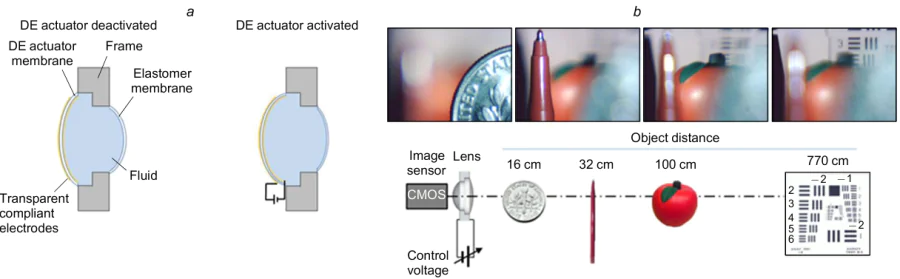 DEA lens with a tunable focal length: (a) schematic of the DEA lens; on the left, the DEA membrane is in the non-actuated state; on the right, the actuated membrane; (b) schematic and demonstration of the operation of the lens.265 Reproduced with the permission of MDPI9 and Optica266