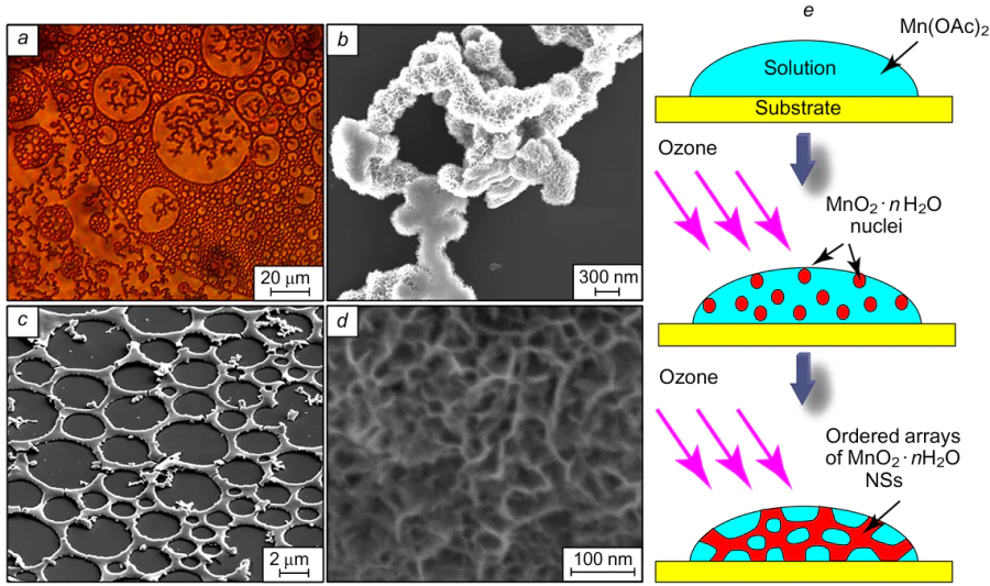 Formation of an ordered network of MnO2 .nH2O nanosheets on the surface of a droplet of an aqueous solution of Mn(OAc)2 upon treatment with O3 gas for 10 min. (a) optical photograph; (b-d) SEM images at different magnifications; (e) model of formation of an ordered network of NS arrays on the droplet surface. The images were taken from authors archive to Refs 17 and 172