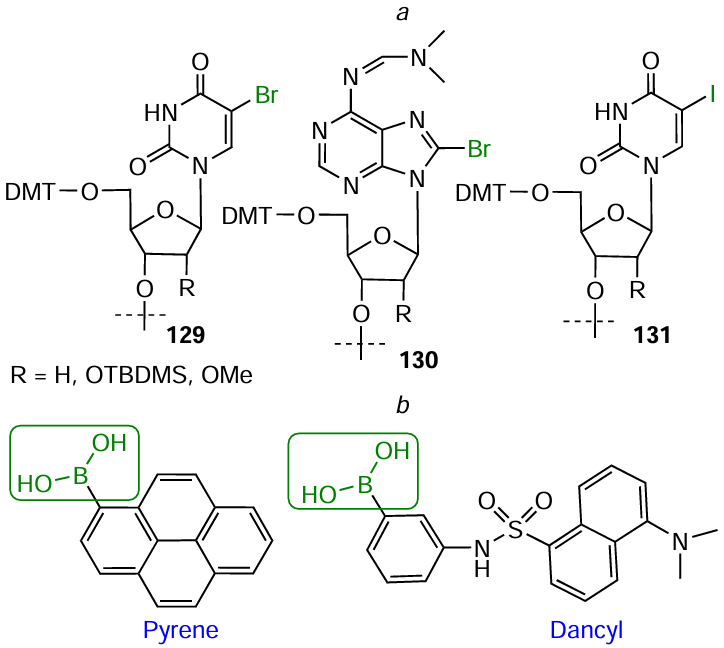 Structures of commercially available halogen-containing modifiers 129 – 131 (a) and pyren-1-yl- and 3-(dansylamino)phenylboronic acids (b)
