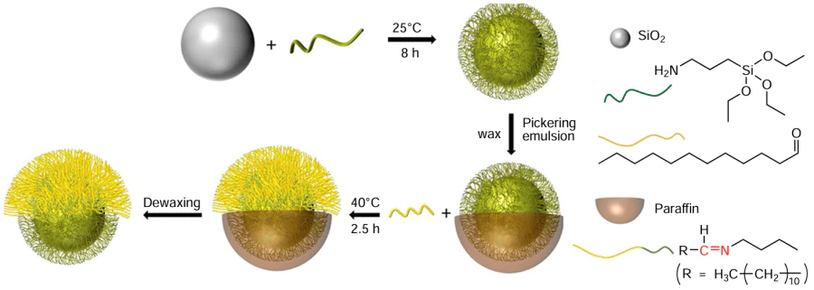 Diagram of the synthesis of SiO2-based Janus nanoparticles.135 Copyright belongs to the ACS Publications.