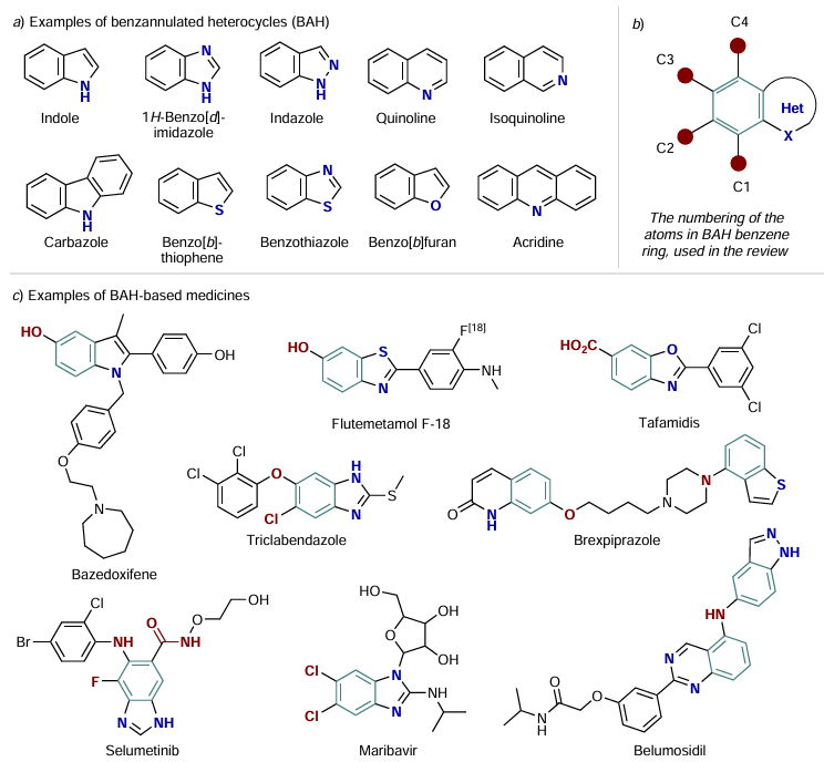 Exemplary benzoannulated heterocycles (а) and BAH-containing medicines (с); numbering of carbon atoms in the benzene ring (b).