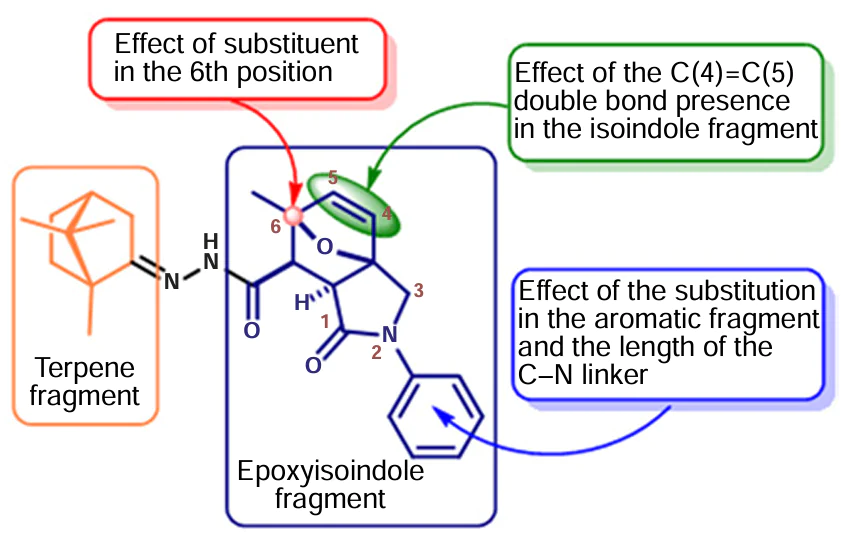 Study of the antiviral activity of 3a,6-epoxyisoindole derivatives.157 Copyright (2021) Elsevier