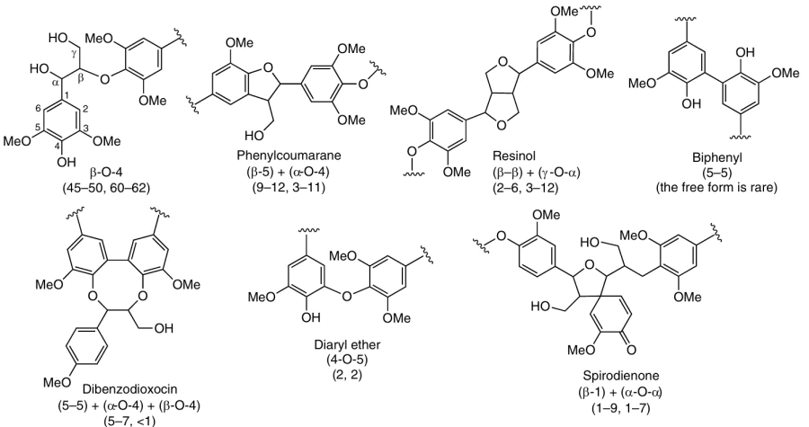 Binding motifs between phenylpropane units in lignin.15 Values in parentheses are the number of bonds in coniferous and hardwood lignin, respectively (n/100 PPU).