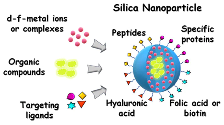 Loading of silica nanoparticles with various metal ions or complexes, fluorescent components mainly represented by organic dyes and targeting with specific ligands