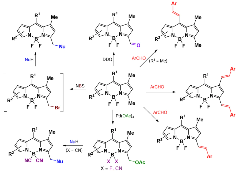 Reactions in volving the methyl groups of BODIPY discussed in Section 3.