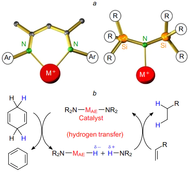 Intermolecular hydrogen transfer on Lewis acid sites based on s-elements: (a) imide complexes containing coordinatively unsaturated alkaline earth metal cations (shown in red) as potential catalytic active sites for the intermolecular hydrogen transfer from the cyclohexa-1,4-diene to the olefin;105 (b) basic diagram of the hydrogenation of olefins with cyclohexa-1,4-diene catalyzed by alkaline earth metal diimides MII AE(Nʹʹ)2 , where Nʹʹ = N(SiMe3)2 .103 Published with permission from John Wiley &amp; Sons