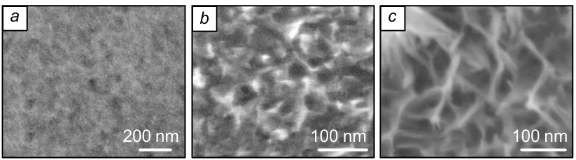 Electron micrographs of the NaxMnO2·nH2O layers synthesized on the silicon single crystal surface by 5 (a), 10 (b) and 30 (c) ionic layer deposition cycles using solutions of Mn(OAc)2 and NaClO. The images were taken from authors archive to Ref. 189